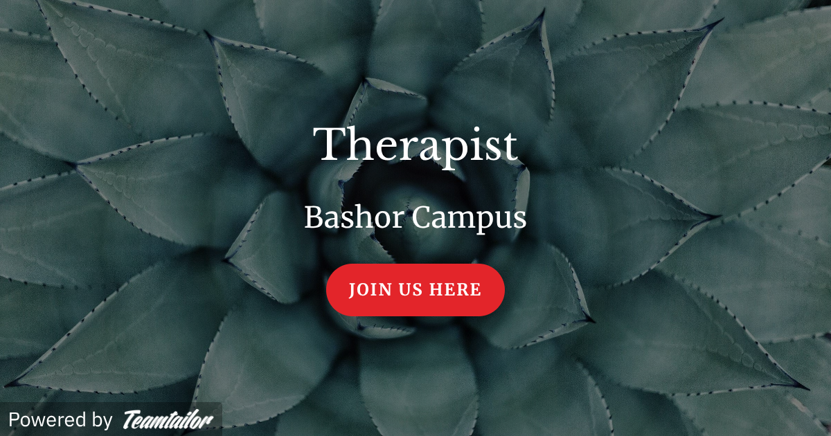Tim Bashor Therapist - Bashor Children's Home