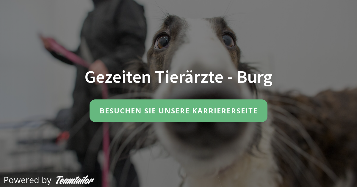 Burg - Gezeiten Tierärzte - IVC Evidensia | Region DACH