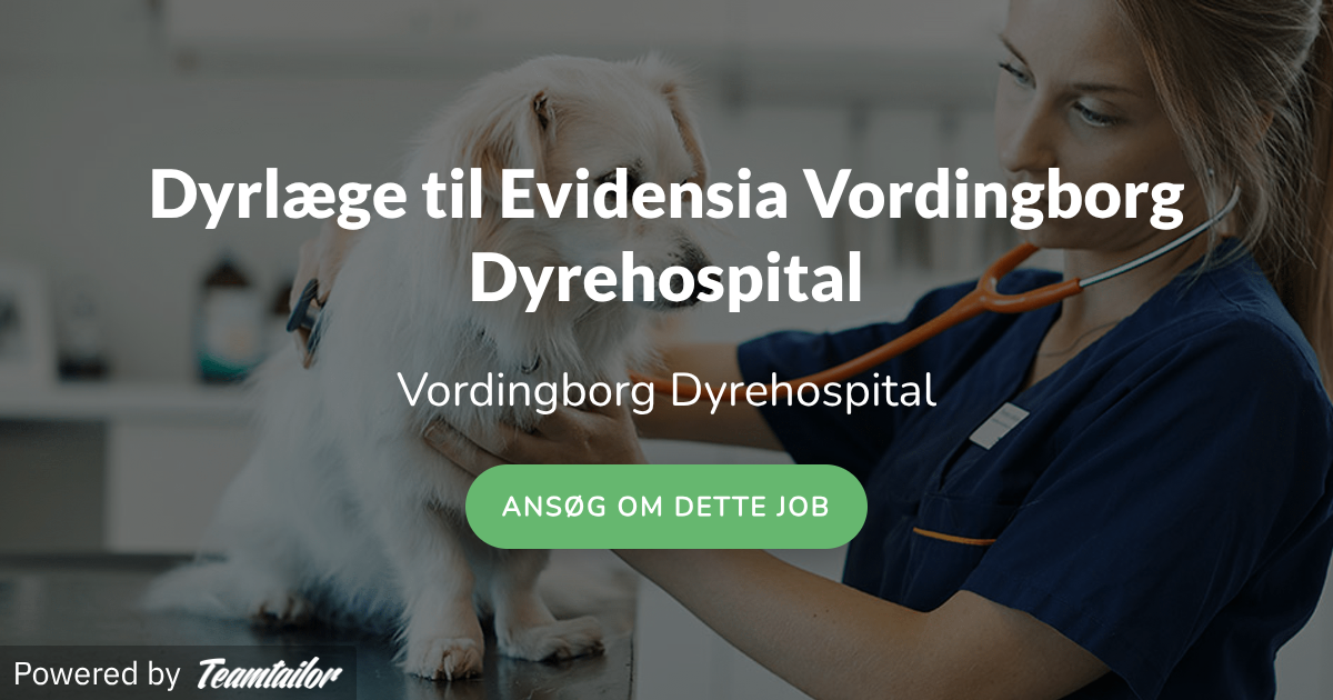 Evidensia Dyrehospital A/S logo