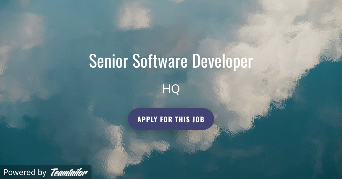 Senior Software Developer - Vidoori