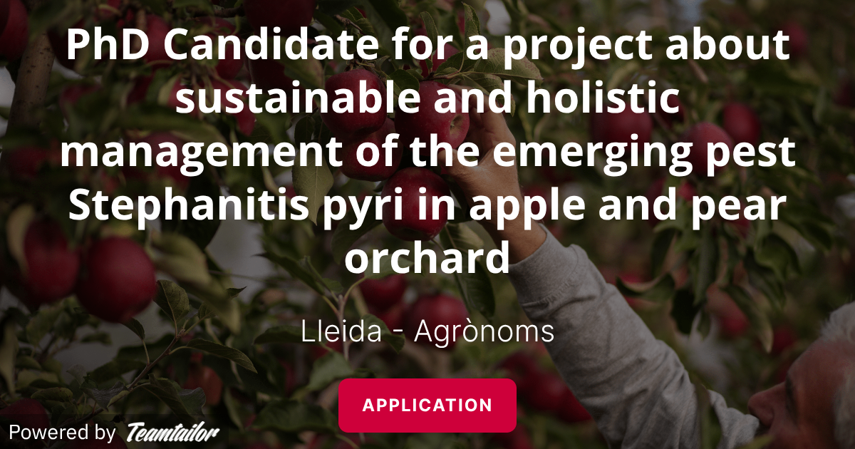 PhD Candidate for a project about sustainable and holistic management