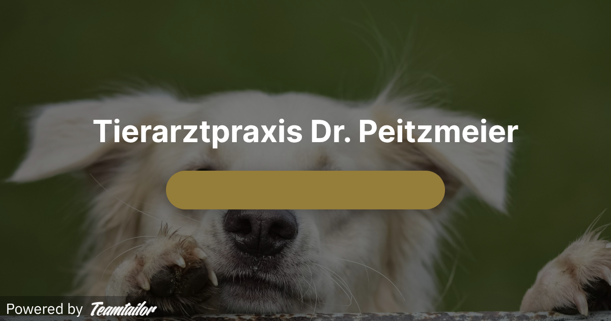 Tierarztpraxis Dr Med Vet Eva Ursula Peitzmeier