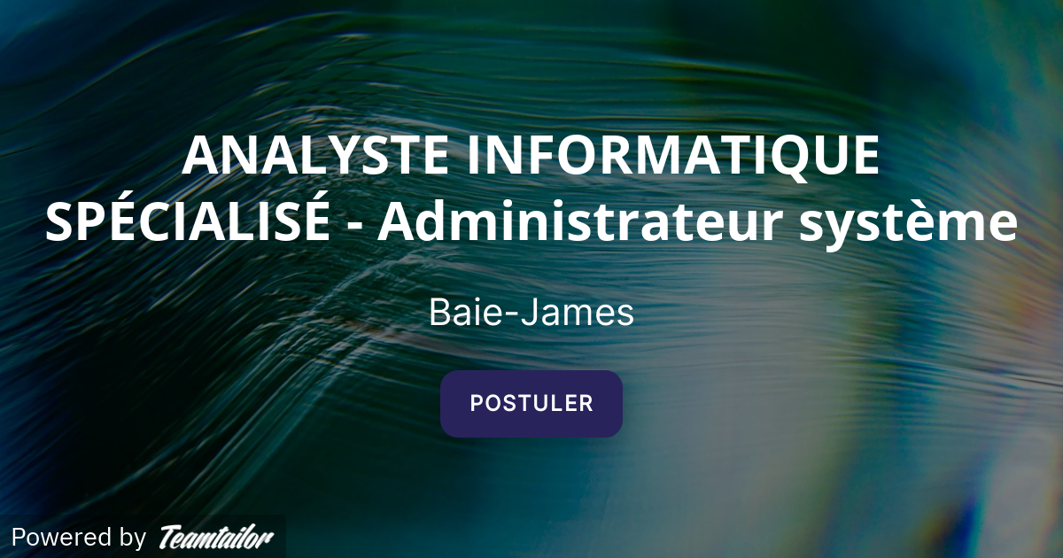ANALYSTE INFORMATIQUE SPÉCIALISÉ - Administrateur système - Workin Group