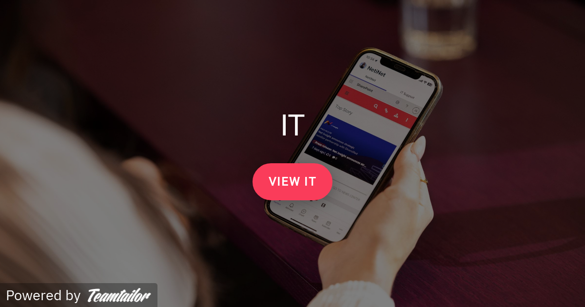 IT - Net Insight