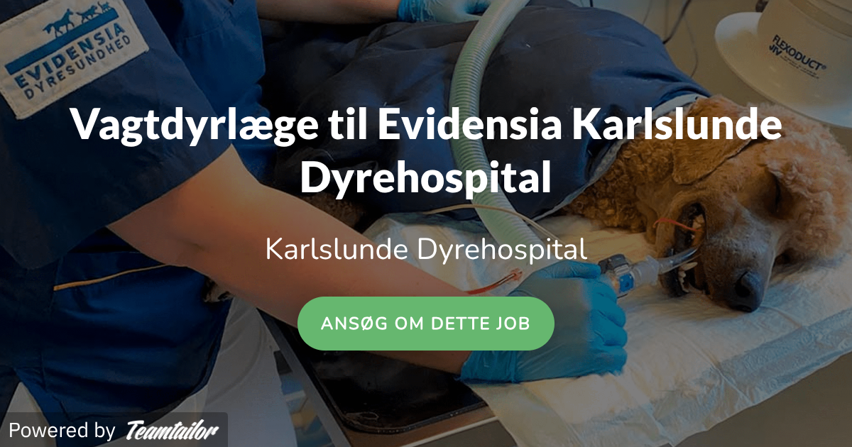 Evidensia Dyrehospital A/S logo