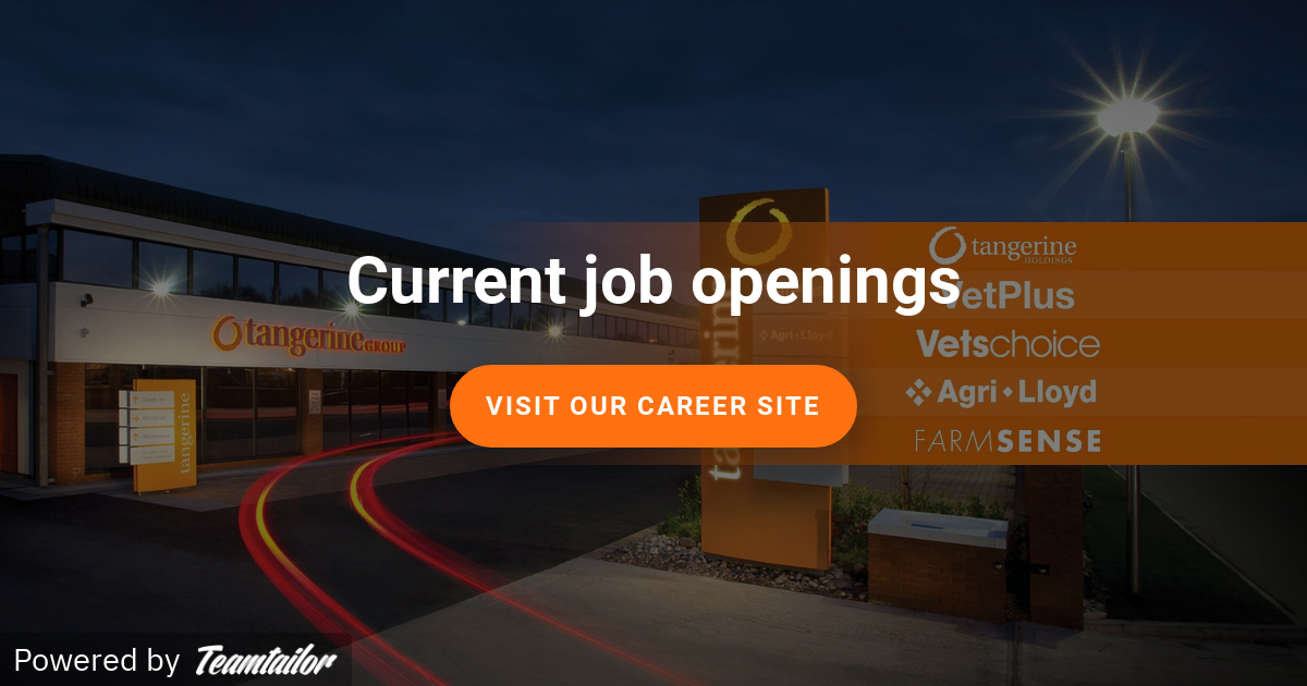 Current job openings Tangerine Holdings