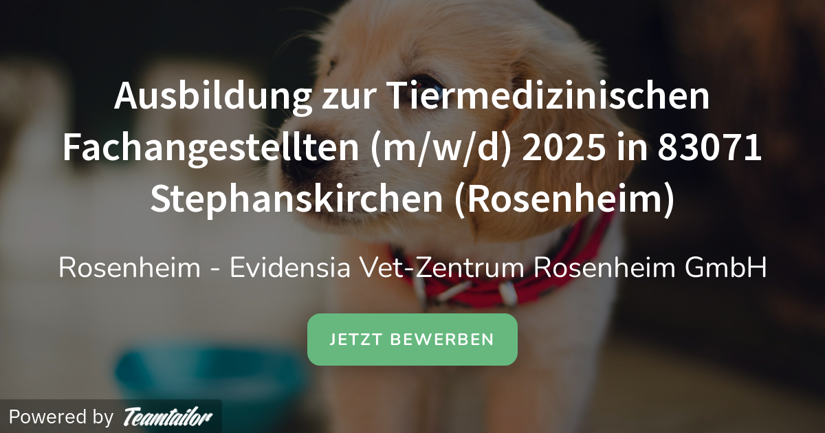 Ausbildung Zur Tiermedizinischen Fachangestellten Gehalt karriere.evidensia.de